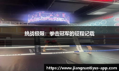 挑战极限：拳击冠军的征程记载
